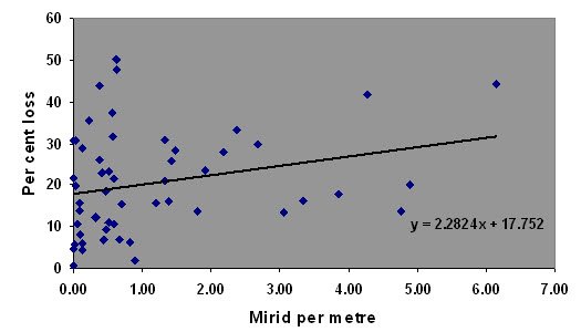 Figure 4. As mirid numbers increase, so does the potential yield loss.