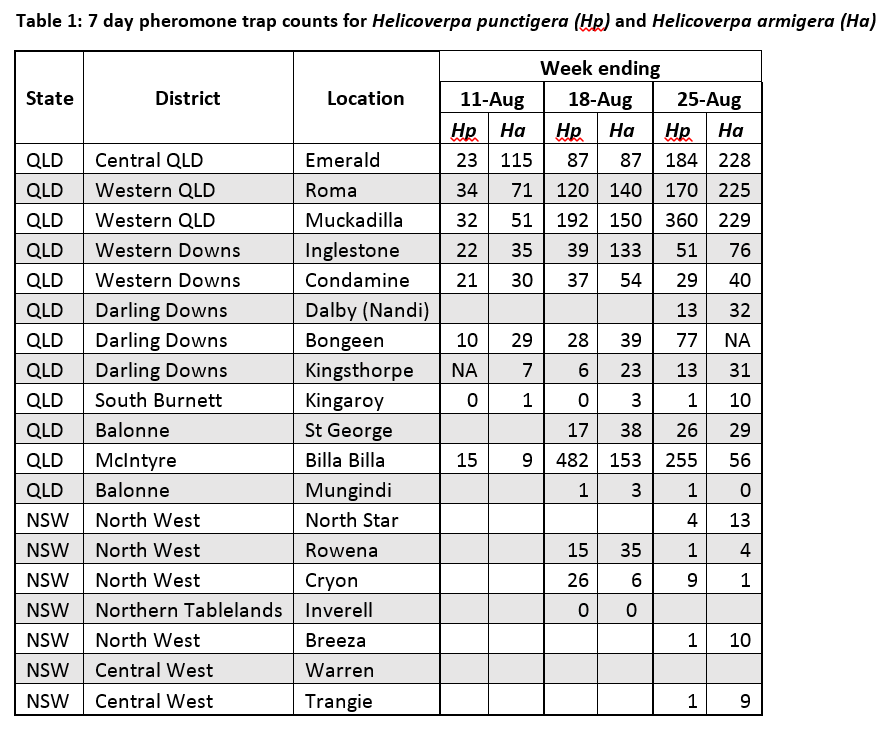 25 aug table 1